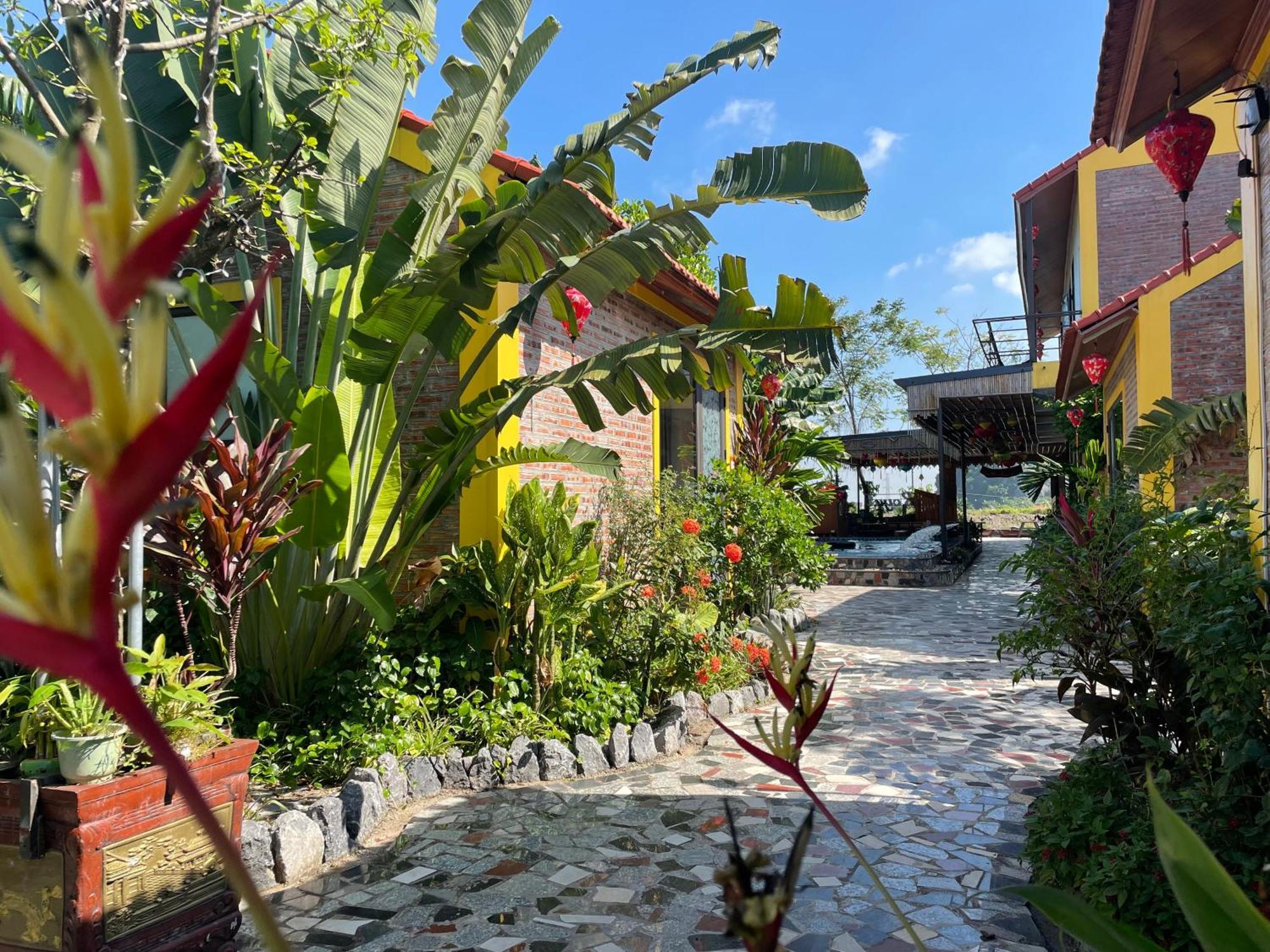 Ninh Binh Royal Homestay Extérieur photo